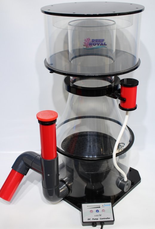 reef royal dct-300 rs protein skimmer.JPG